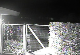 fox visiting 201403140 (14 visits) fox visiting 201403140