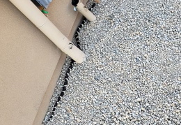 king snake 20230627 35 (16 visits) king snake 20230627 35