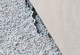 king snake 20230627 38 (18 visits) king snake 20230627 38