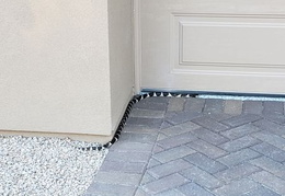 king snake 20230627 41 (12 visits) king snake 20230627 41