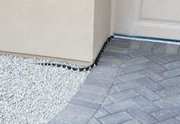 king snake 20230627 40 (12 visits) king snake 20230627 40