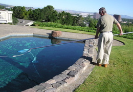 Mole_In_The_Pool_2005 - display this album Mole_In_The_Pool_2005