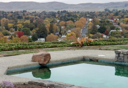 red foxes in backyard nov 2009 0001 (32 visits) red foxes in backyard nov 2009 0001
