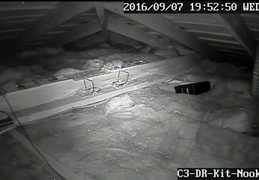 rat in attic 20160907 195249 20160907 195453