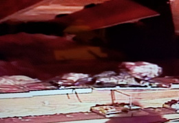 rat in attic 20160907 2 (21 visits) rat in attic 20160907 2