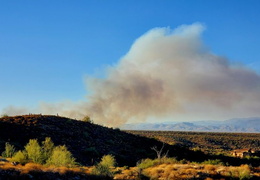 diamond fire 20230627 03 (12 visits) diamond fire 20230627 03