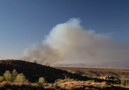 diamond fire 20230627 10 (15 visits) diamond fire 20230627 10