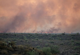 diamond fire 20230627 27 (9 visits) diamond fire 20230627 27
