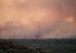 diamond fire 20230627 29 (10 visits) diamond fire 20230627 29