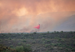 diamond fire 20230627 31 (7 visits) diamond fire 20230627 31