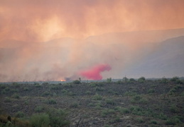 diamond fire 20230627 33 (8 visits) diamond fire 20230627 33