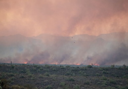 diamond fire 20230627 37 (15 visits) diamond fire 20230627 37
