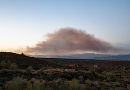 diamond fire 20230627 42 (11 visits) diamond fire 20230627 42
