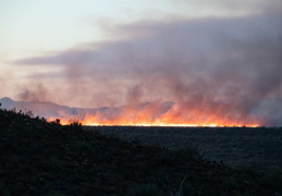 diamond fire 20230627 45 (12 visits) diamond fire 20230627 45