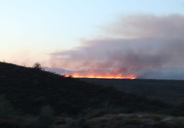 diamond fire 20230627 46 (9 visits) diamond fire 20230627 46