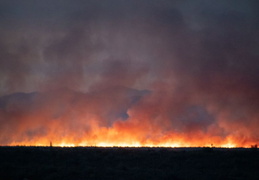 diamond fire 20230627 47 (9 visits) diamond fire 20230627 47