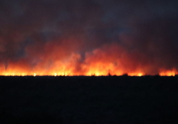 diamond fire 20230627 49 (22 visits) diamond fire 20230627 49