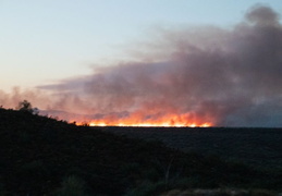 diamond fire 20230627 50 (12 visits) diamond fire 20230627 50