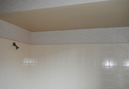 hallway bath remodel 2014 006 (18 visits) hallway bath remodel 2014 006
