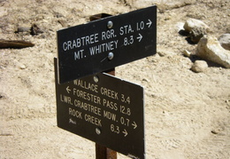 mt whitney august 2008 1031 (18 visits) mt whitney august 2008 1031