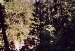 trinity alps backpacking 2003 04 (10 visits) trinity alps backpacking 2003 04