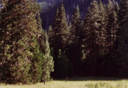 trinity alps backpacking 2003 10 (7 visits) trinity alps backpacking 2003 10