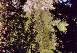 trinity alps backpacking 2003 12 (7 visits) trinity alps backpacking 2003 12