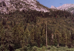 trinity alps backpacking 2003 13 (7 visits) trinity alps backpacking 2003 13