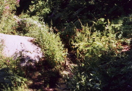trinity alps backpacking 2003 15 (9 visits) trinity alps backpacking 2003 15