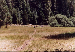 trinity alps backpacking 2003 24 (12 visits) trinity alps backpacking 2003 24