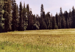 trinity alps backpacking 2003 25 (12 visits) trinity alps backpacking 2003 25