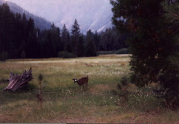 trinity alps backpacking 2003 30 (6 visits) trinity alps backpacking 2003 30