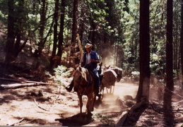 trinity alps backpacking 2003 35 (9 visits) trinity alps backpacking 2003 35