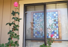 roses 20201203 104634 (20 visits) roses 20201203 104634