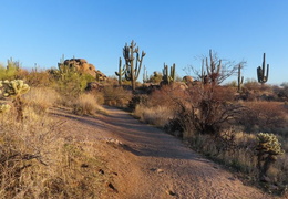 coyote trail at granite mountain 20231231 012