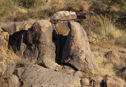coyote trail at granite mountain 20231231 039