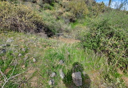 trailblazers 20240224 13 (12 visits) trailblazers 20240224 13