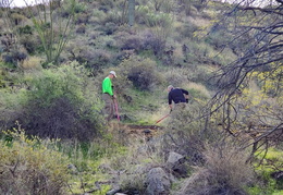 trailblazers 20240224 15 (7 visits) trailblazers 20240224 15