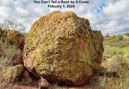 you cant tell a rock by its cover 20240201 01