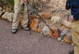 you cant tell a rock by its cover 20240201 04