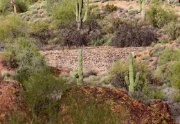 you cant tell a rock by its cover 20240201 16
