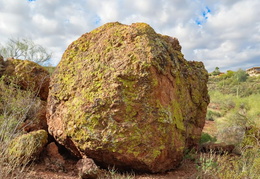 you cant tell a rock by its cover 20240201 34