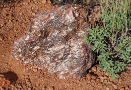 you cant tell a rock by its cover 20240201 35