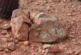 you cant tell a rock by its cover 20240201 44
