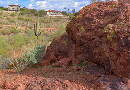 you cant tell a rock by its cover 20240201 47
