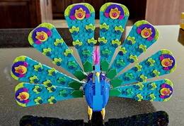 peacock 20240402 120356