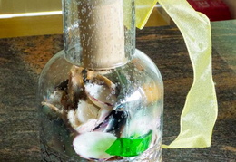 seashells 04 (43 visits) seashells 04