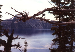 crater lake july 1985 008 (8 visits) crater lake july 1985 008