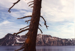 crater lake july 1985 021 (7 visits) crater lake july 1985 021