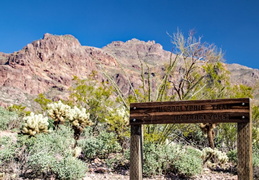 hieroglyphics trail superstition mtns 20220105 014